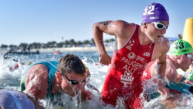 Leon Pauger (rotes Trikot) will wieder schneller aus dem Wasser kommen. (Bild: Janos M. Schmidt/ World Triathlon)