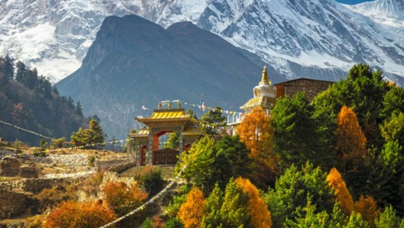 Kloster im Himalaya (Bild: silver-john - stock.adobe.com)