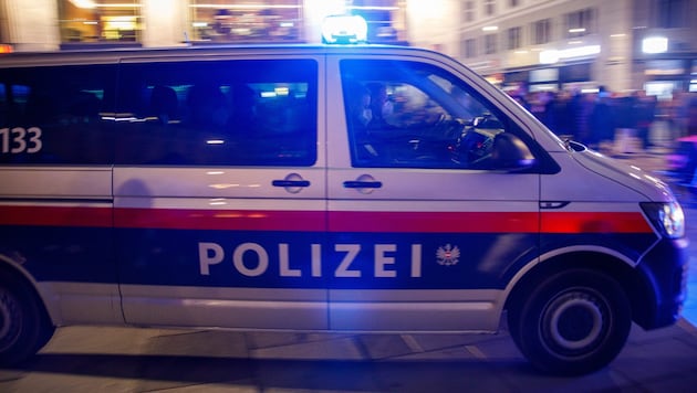 Wiener Polizei im Großeinsatz (Bild: APA/FLORIAN WIESER)