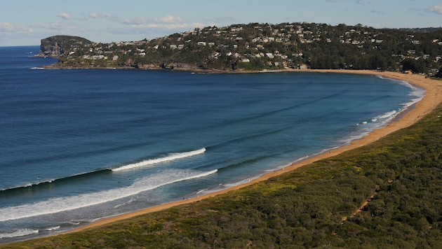 Der Palm Beach in Sydney ist derzeit für Schwimmer geschlossen. (Bild: AFP)