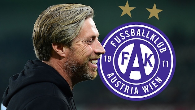 Michael Wimmer ist der neue Trainer der Wiener Austria. (Bild: GEPA, FK Austria Wien)