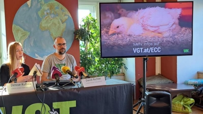 Der VGT zeigte in einer Pressekonferenz weitere schockierende Videos aus steirischen Hühnermastbetrieben mit AMA-Gütesiegel. (Bild: Eva Stockner)