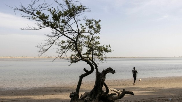 Senegal (Bild: AFP or licensors)