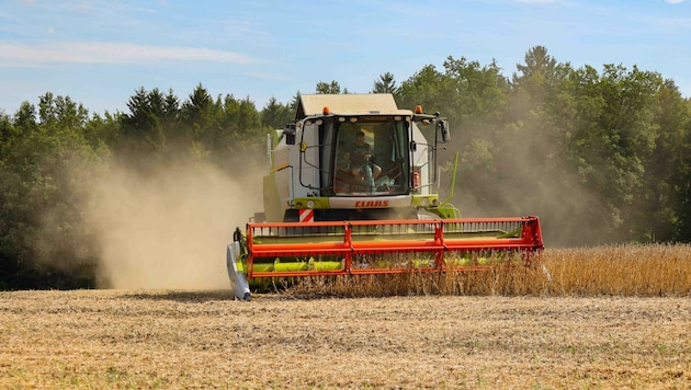 Die regionale Landwirtschaft ist von Idylle weit entfernt: Der harte „Green Deal“ könnte die Produktion von Nahrung auf unseren Feldern um 20% Prozent reduzieren. (Bild: Daniel Scharinger)