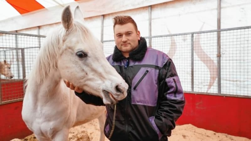 Marvin Spindler (24) ist mit dem Familienzirkus aufgewachsen. Wenn er gerade nicht den Clown spielt, kümmert er sich auch um die Tiere. (Bild: Sepp Pail)