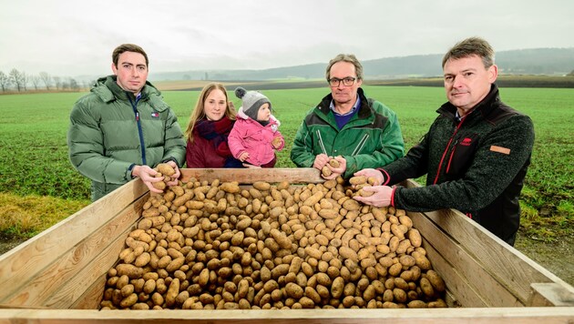 Alexander Bernhuber, Pia Zechmeister, Rupert Groll und Franz Linzbauer sorgen sich um die Erdäpfel-Ernte im Land. (Bild: Imre Antal)
