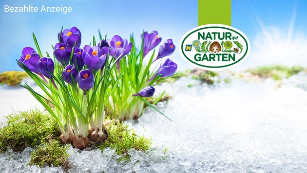 (Bild: stock.adobe.com/natur im garten, Krone KREATIV)