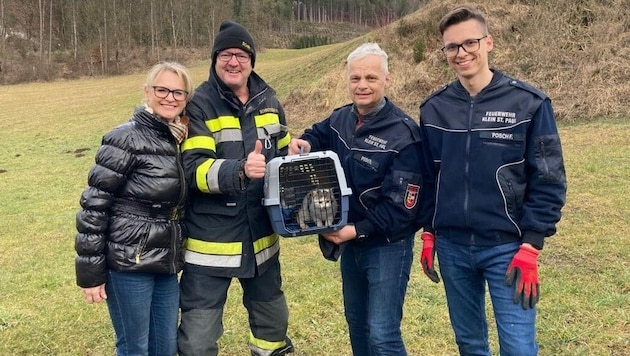 21 Stunden im Einsatz für ein Kätzchen. (Bild: FF Klein St. Paul)