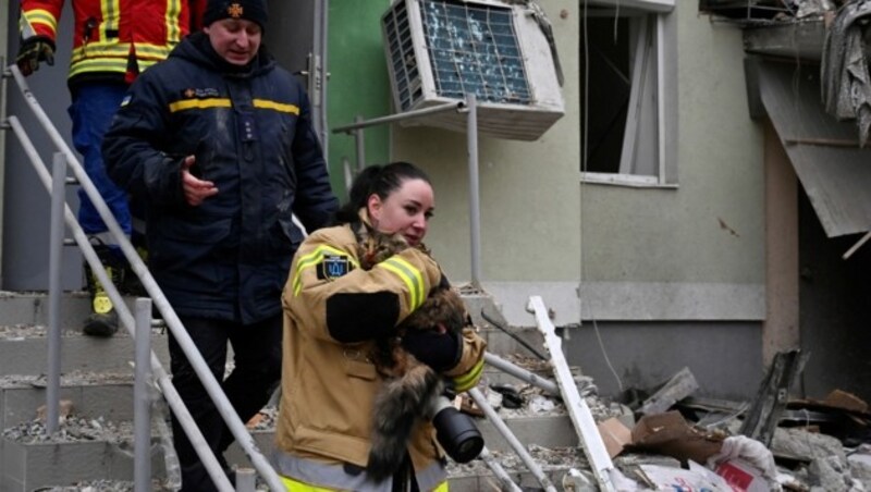 Auch diese Katze wurde aus dem völlig zerstörten Gebäude gerettet. (Bild: AFP)