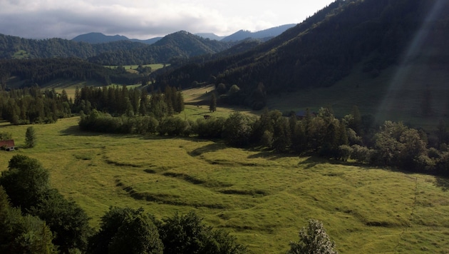 Das Mollner Jaidhaus-Tal ist ein wertvolles und ökologisch hochsensibles Naturareal, durch das nur eine Schotterstraße führt. (Bild: zVg)