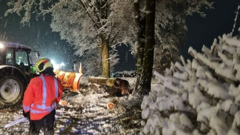 Schneebruch bei der Zollfeldstraße sorgte für einen Einsatz der Feuerwehr St. Donat. (Bild: FF St. Donat)