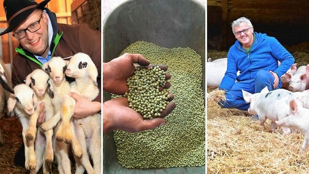 Vortragsreihe im Rahmen der Agrarmesse. (Bild: Uta Rojsek-Wiedergut/Donau Soja/Evelyn Hronek)