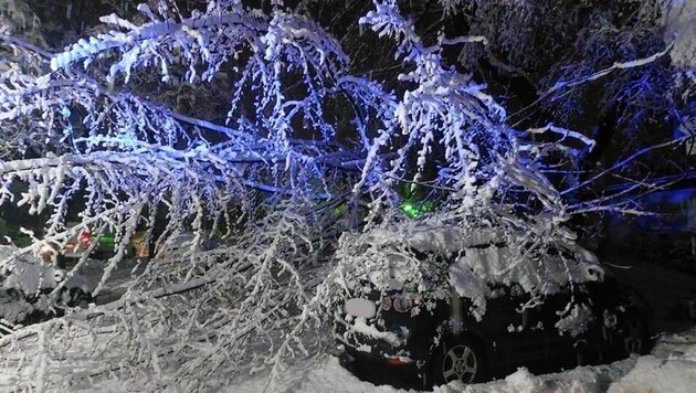 Zahlreiche Bäume stürzten unter der Schneelast ein und beschädigten Autos. (Bild: FF St. Ruprecht/Klagenfurt)