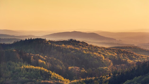 Nächtliche Kaltluftströme, etwa aus dem Wienerwald, sollten in warmen Sommernächten in der Stadt für Abkühlung sorgen. Doch die Luft kommt nicht mehr durch, immer weniger davon gelangt ins Stadtzentrum. (Bild: Wienerwald Tourismus/Andreas Hofer)