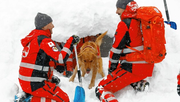 Rot-Kreuz-Suchhund "Forrest" hat seine Übung erfolgreich absolviert. (Bild: GERHARD SCHIEL)