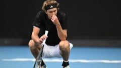 Alexander Zverev (Bild: APA/AFP/Manan VATSYAYANA)