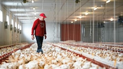 Der moderne Mastbetrieb von Franz Dorner bietet Platz für 90.000 Hühner. (Bild: Timo Jaworr)