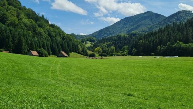 Blick ins Jaidhaus-Tal bei Molln, wo die Gaslagerstätte vermutet wird (Bild: zVg)