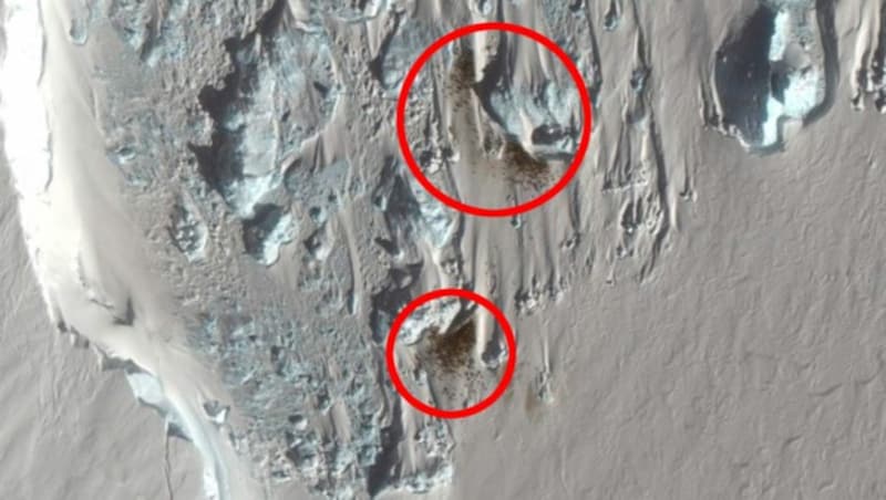 Kotspuren haben die Pinguiine verraten: Die braunen Flecken auf dem Eis sind sogar aus dem All leicht zu erkennen. (Bild: BAS/Maxar Technologies, krone.at-Grafik)