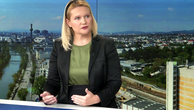 Investorin Larissa Kravitz im krone.tv-Live-Talk (Bild: krone.tv)