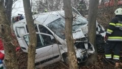 Der Kleinbus kam von der Straße ab und krachte in den Baum. (Bild: R. Wonisch/Rotes Kreuz Stmk)