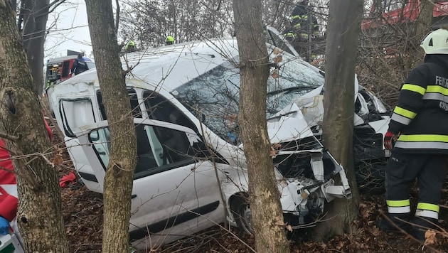 Der Kleinbus kam von der Straße ab und krachte in den Baum. (Bild: R. Wonisch/Rotes Kreuz Stmk)