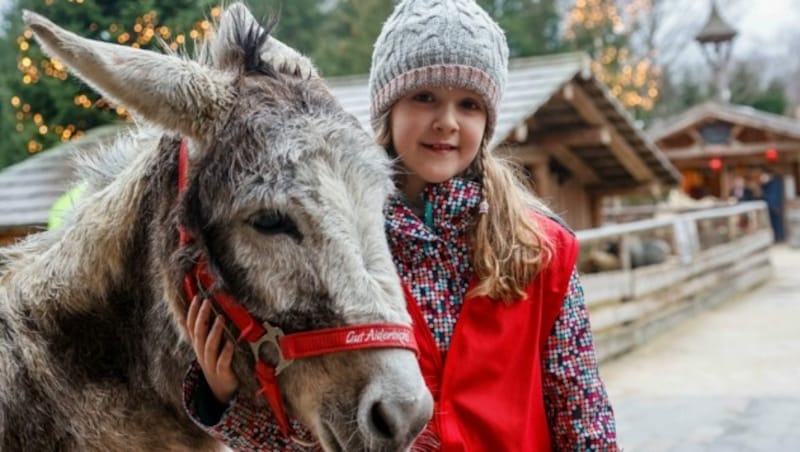 Isabella nahm am Tierpflegerprogramm für Kinder teil. (Bild: Tschepp Markus)