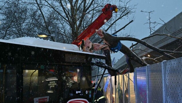 Bei einem Verkehrsunfall eines Linienbusses wurde der Fahrer in seinem Fahrzeug eingeklemmt. (Bild: Stadt Wien | Feuerwehr)