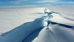 In den vergangenen 25 Jahren haben sich knapp 44 Prozent der antarktischen Schelfeis-Gebiete in der Antarktis verkleinert. (Bild: BAS)