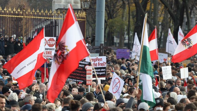 Der ehemalige Schuldirektor hatte bei einer Kundgebung in Wien demonstriert. (Bild: Karl Schöndorfer)