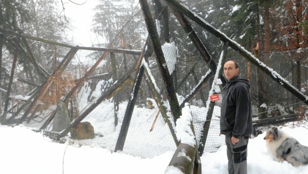 Emanuel Zupanc espera donaciones para reparaciones: Vogelpark Turnersee IBAN: AT74 3928 8000 0031 0250 (Imagen: Rojsek-Wiedergut Uta)