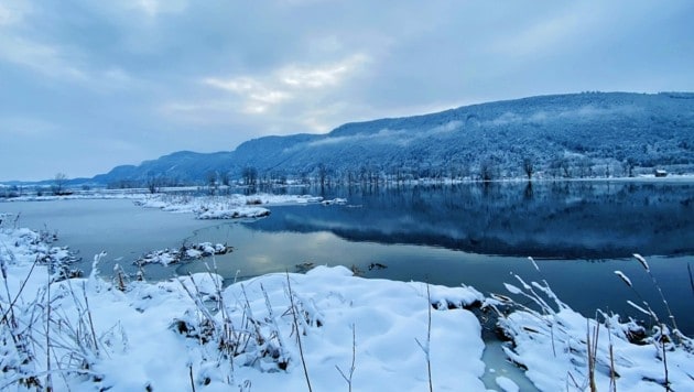 Das renaturierte Bleistätter Moor am Ossiacher See hat auch im Winter seinen ganz besonderen Reiz und viel Stille. (Bild: Diana Krulei)