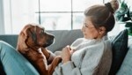 Gesundheitsprophylaxe zwischen den jährlichen Tierarztbesuchen - Ihrem Tier zuliebe. (Bild: stock.adobe.com)