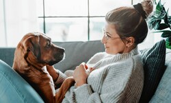 Gesundheitsprophylaxe zwischen den jährlichen Tierarztbesuchen - Ihrem Tier zuliebe.