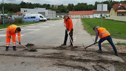 Gemeinsam für die Belebung einer Nebenbahn: Der harte Einsatz Freiwilliger hat sich gelohnt. (Bild: NÖ Landesbahnen)