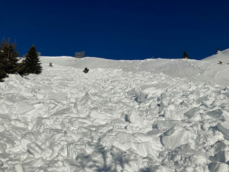 Der Spittaler wurde unter den Schneemassen verschüttet. (Bild: LPD Kärnten)