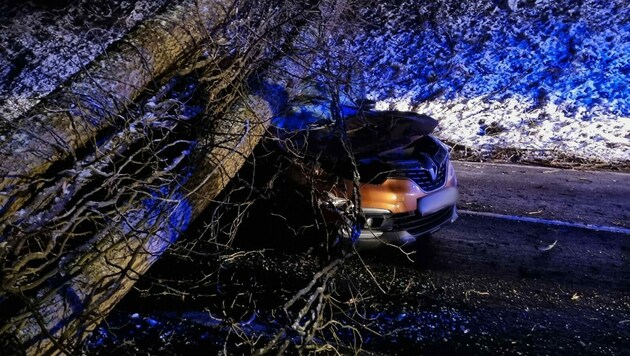 Das Auto wurde im vorderen Bereich vom Baum erwischt. (Bild: FF Hitzendorf )