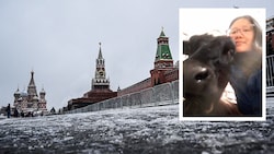 Tierrechtsaktivistin Alisa Dey spazierte mit einem Kalb über den Roten Platz in Moskau. (Bild: APF, vk.com/Alisa Dey, Krone KREATIV)