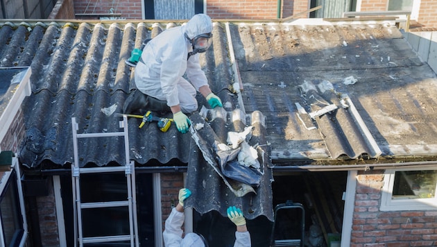 Vorsicht vor dem Gift Asbest im Dach: Krone+ zeigt, was zu tun ist. (Bild: stock.adobe.com, Krone KREATIV)