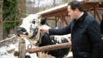 Am Jägerball glänzte Norbert Totschnig. Bei der Debatte zum Tiertransportvolksbegehren fehlte der Landwirtschaftsminister. (Bild: BML/Paul Gruber)