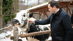 Am Jägerball glänzte Norbert Totschnig. Bei der Debatte zum Tiertransportvolksbegehren fehlte der Landwirtschaftsminister. (Bild: BML/Paul Gruber)