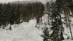 Die abgesprengte Lawine an der Hinterwildalpenstraße (Bild: Lawinenkommission Wildalpen)