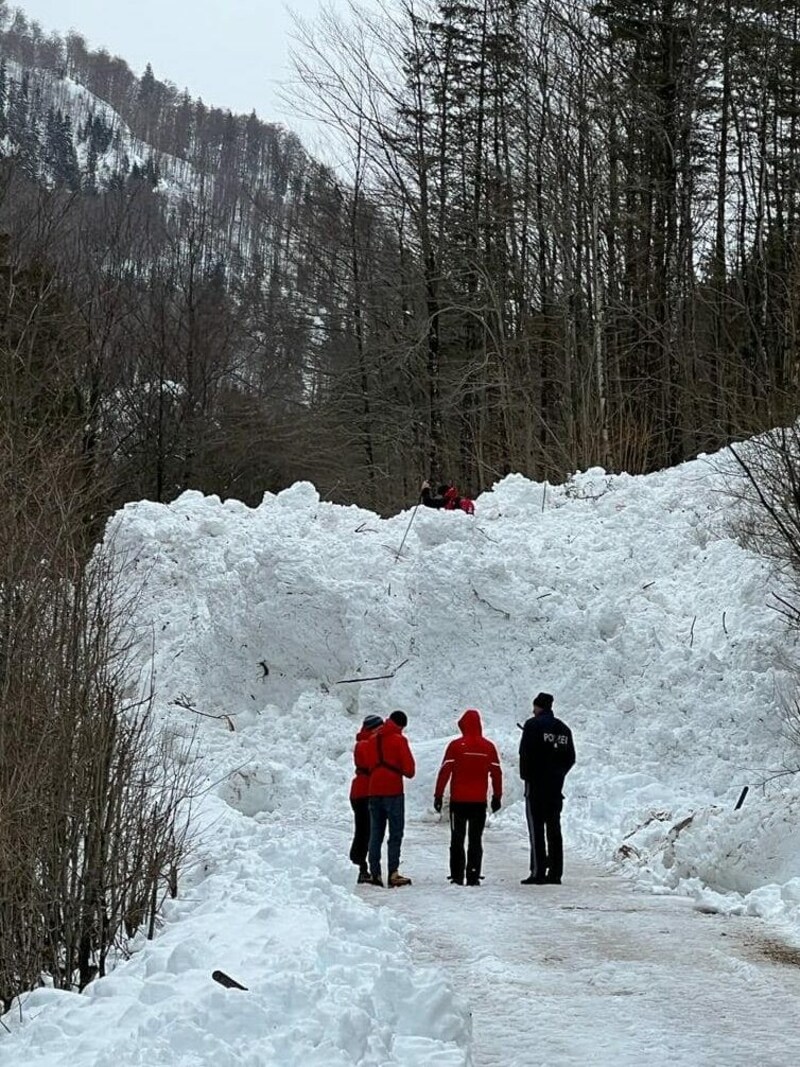 Die Lawine verschütte in Molln im Bodinggraben die Straße mehrere Meter hoch (Bild: Bergrettung Molln)