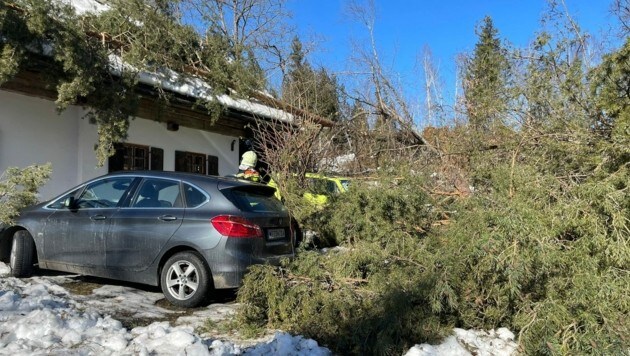 Die meisten Einsätze gibt es wegen umgestürzter oder entwurzelter Bäume. (Bild: Berufsfeuerwehr Klagenfurt)