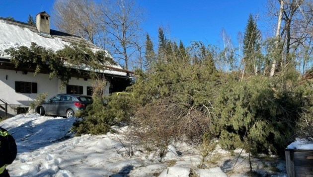 Der Sachschaden hielt sich zum Glück in Grenzen. (Bild: Berufsfeuerwehr Klagenfurt)