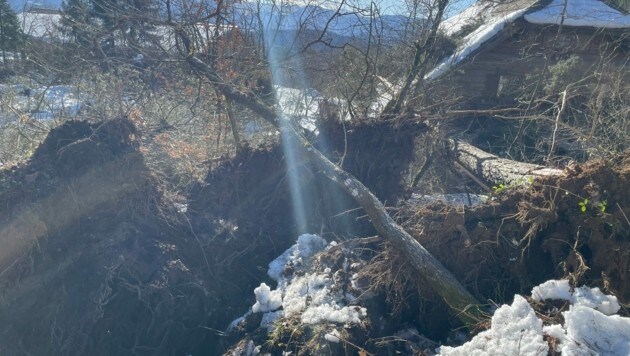 Im Freien ist auf jeden Fall Vorsicht geboten. (Bild: Berufsfeuerwehr Klagenfurt)