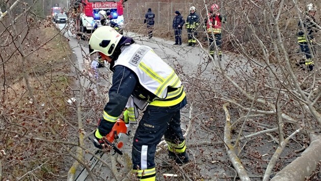 Die Feuerwehr Pinkafeld musste eine Straße nach einem umgestürzten Baum freimachen. (Bild: FF Pinkafeld)