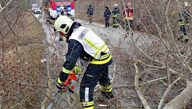 Die Feuerwehr Pinkafeld musste eine Straße nach einem umgestürzten Baum freimachen. (Bild: FF Pinkafeld)