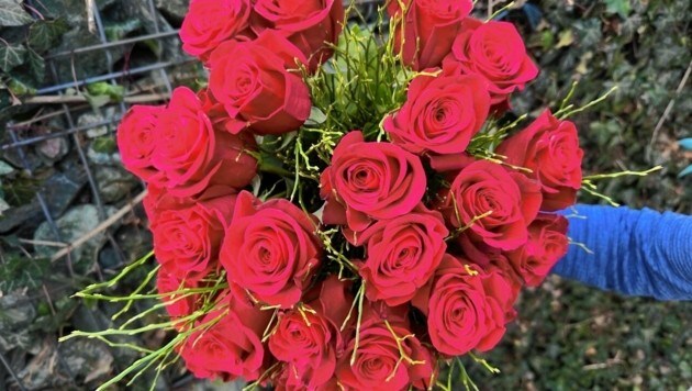 Un ramo completo para el Día de San Valentín no es suficiente, solo una rosa.  (Imagen: hombro cristiano)