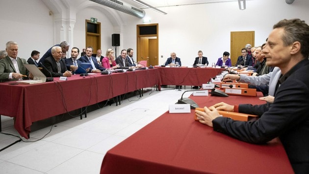 Una reunión de la Comisión U sobre Wien Energie (Imagen: APA/TOBIAS STEINMAURER)